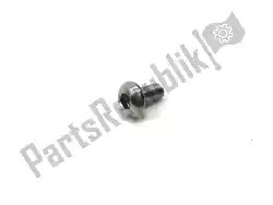 Here you can order the screw m5 x 10 s/s from Triumph, with part number T3330217: