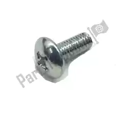 Here you can order the screw from Suzuki, with part number 021420616A: