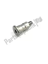 Here you can order the bolt, change pivot from Honda, with part number 90115MCH000: