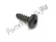 Tornillo de rosca Yamaha 901690500100