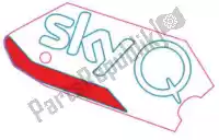 2H003436, Piaggio Group, rh side fairing decal 