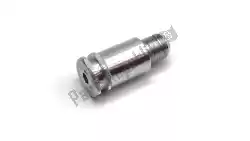 Here you can order the banjo bolt with check valve - m10x1 from BMW, with part number 17128523491: