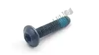 46637653686, BMW, tornillo de cabeza ovalada - m6x30mk bmw  650 1150 1200 1999 2000 2001 2002 2003 2004 2005, Nuevo