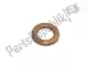 Washer Piaggio Group 887879