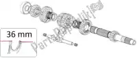 85252R, Piaggio Group, Fork aprilia  rsv rsv4 rsv4 tuono tuono tuono v tuono v4 1100 (usa) tuono v4 1100 (usa) e5 tuono v4 1100 rr (apac) zd4kg000 zd4kga00 zd4kgb zd4kgb00 zd4kgu zd4kgu00 zd4kgua0 zd4kgua1 zd4kza00 zd4kzb00 zd4kzu zd4tyg00, zd4tycc0 zd4tyh00, zd4tycc1 zd4tyu00 zd4ty, New