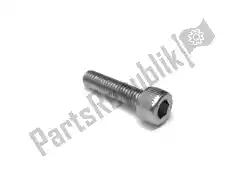 Here you can order the bolt,socket head from Yamaha, with part number 913140602500: