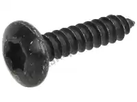 CM178604, Piaggio Group, self tapping screw     , New