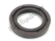 Gasket ring 20x30x5 Aprilia 82897R