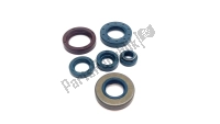 AP8206304, Aprilia, oil seals - set, New