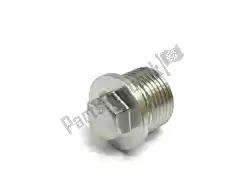 Here you can order the plug from Benelli, with part number 150143300100: