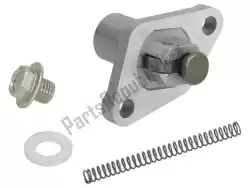 Here you can order the chain tensioner bracket from Piaggio Group, with part number 289919: