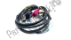 Stator, generator Suzuki 3311017C00