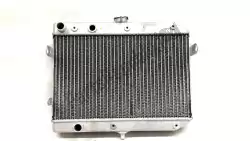 Here you can order the radiator assy,w from Suzuki, with part number 1771031G40: