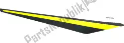 Here you can order the 01 pattern,tail cover,rh from Kawasaki, with part number 560760954: