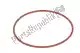 Gasket ring d95.5x3.2 Piaggio Group AP8520271