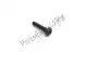 Roundhead philips screw 4mm-7 Piaggio Group 00000012420