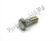 Cap fixing screw Aprilia AP8106795