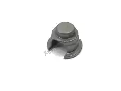 Here you can order the spring insert from KTM, with part number 54637071200: