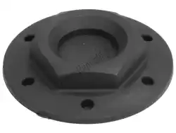 Here you can order the cover from Piaggio Group, with part number 563755:
