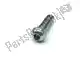 Bolt, button head Yamaha 920120602000