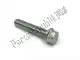 Bolt-flanged-small common Kawasaki 132BA0630