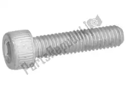 Here you can order the screw m6x25 from Piaggio Group, with part number 018553: