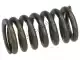 Valve spring Piaggio Group 483915