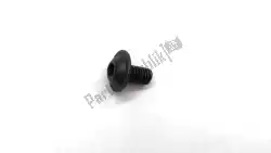 Here you can order the special screw m6x1x10 from KTM, with part number 90808073000: