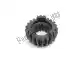 Gear 5a as z=22 Piaggio Group GU32215210