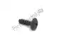 Screw, tapping Yamaha 9016705X0100