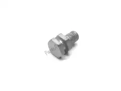 Here you can order the fixing pin from Piaggio Group, with part number 859946: