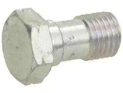 Here you can order the screw from Piaggio Group, with part number 127863: