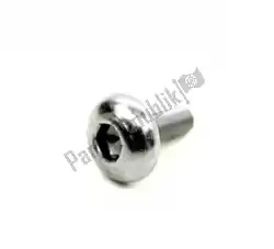 Here you can order the screw, but/hd, m5x0. 8x14, slv from Triumph, with part number T3330943: