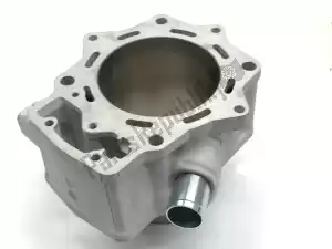 kawasaki 11005Y006 01 cylinder-engine - Left side