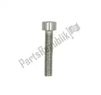 AP8152479, Piaggio Group, Tornillo hexagonal m6x30     , Nuevo