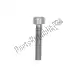 Hex socket screw m6x30 Piaggio Group AP8152479
