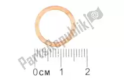 Here you can order the washer from Piaggio Group, with part number GU90718120: