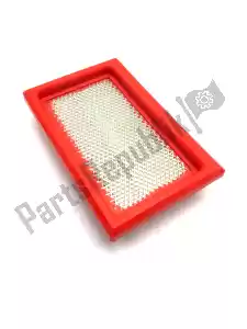Piaggio Group 861130 air filter - Left side