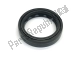 Oil seal Aprilia B044055