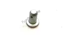Here you can order the pin from Piaggio Group, with part number AP8121534: