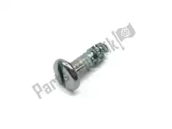 Here you can order the pin from Piaggio Group, with part number AP8121253: