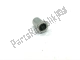 Threaded rivet m6 Aprilia AP8102544