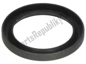 Piaggio Group AP8110068 oil seal d18x24x3 - Bottom side