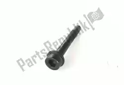 Here you can order the screw from Ducati, with part number 77140743C: