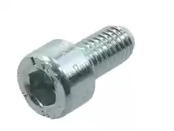 Here you can order the screw from Piaggio Group, with part number 00000004510: