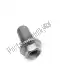 Screw, special Ducati 77918301AB