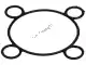 Inner gasket head Piaggio Group 288289