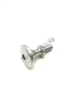 857071, Piaggio Group, special screw aprilia  rsv rsv4 rsv4 1100 racing factory abs rsv4 tuono tuono tuono v tuono v4 1100 (usa) tuono v4 1100 (usa) e5 tuono v4 1100 rr (apac) zd4ke000 zd4kea00 zd4kea00, zd4kewa zd4keb00 zd4keu zd4keua1 zd4kg000 zd4kga00 zd4kgb zd4kgb00 zd4kgu zd4kgu00 zd4kg, New