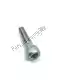 Screw Piaggio Group GU98620545