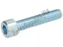 Here you can order the hex socket screw m6x30 from Piaggio Group, with part number 319538: